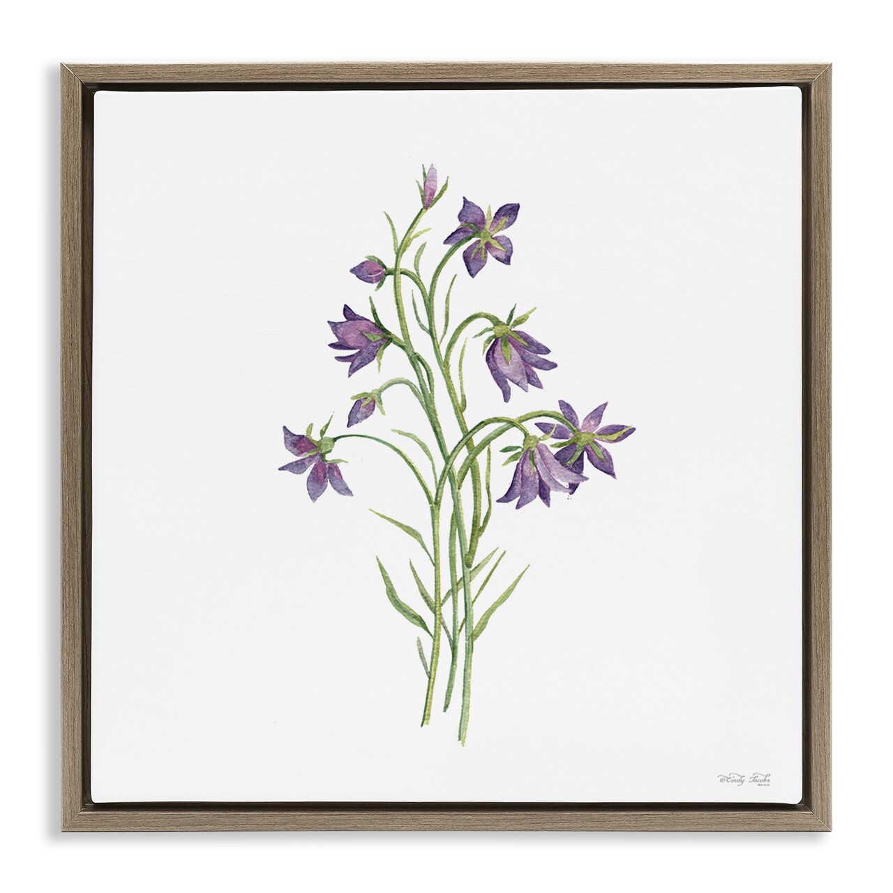 Stupell Industries Soft Bluebells Botanical Floating Frame, design by Cindy Jacobs